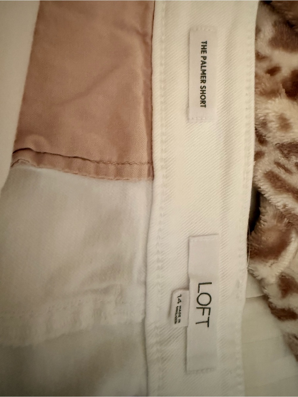 LOFT The Palmer Short in White with Beige Waistband